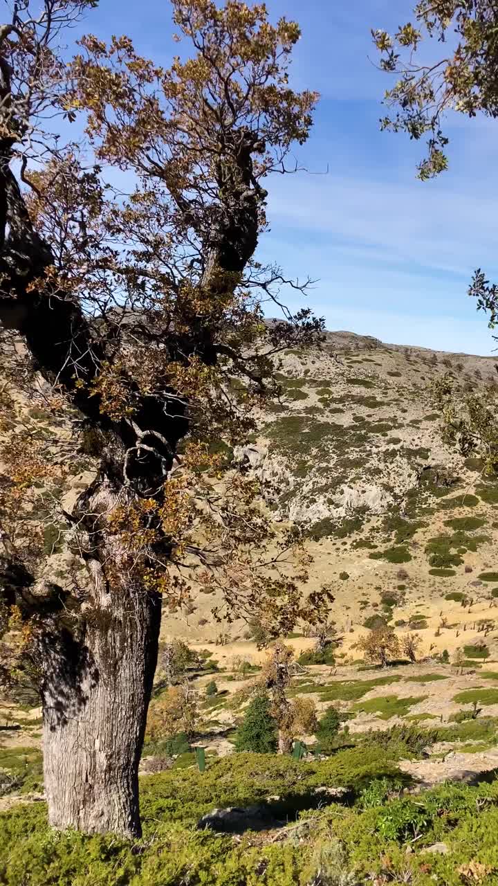 通往托雷西拉山顶的小路视频素材