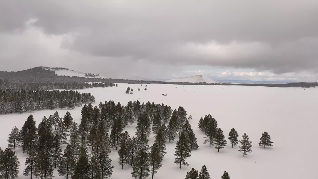 飞过一片白雪覆盖的田野，远处是亚利桑那州北部的雪山视频素材