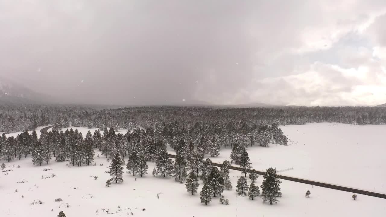 飞过一片白雪覆盖的田野，远处是亚利桑那州北部的雪山视频下载