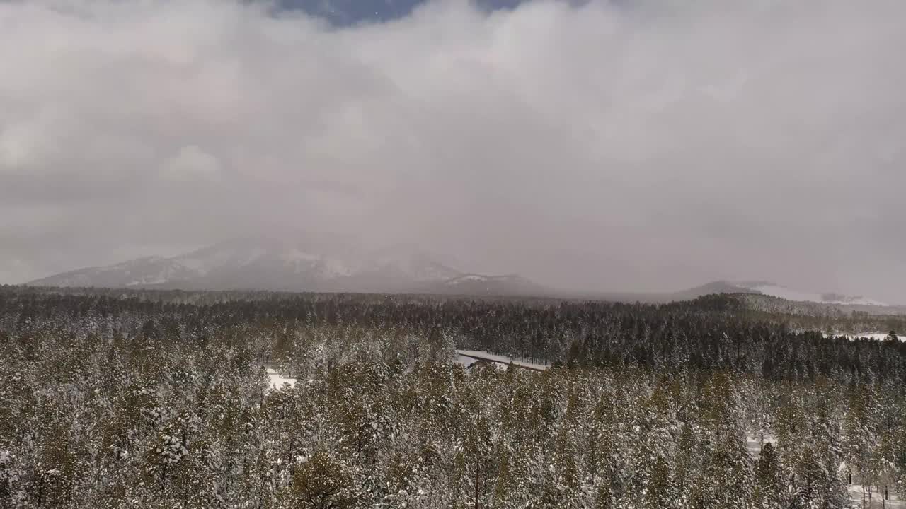 飞越白雪覆盖的荒野，松树和高山。冬天的仙境。视频素材