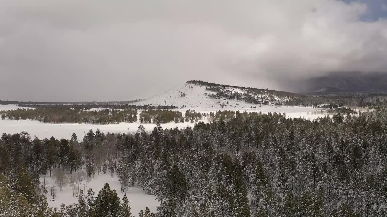 飞越白雪覆盖的荒野，松树和高山。冬天的仙境。视频素材