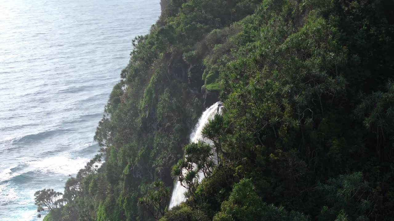 郁郁葱葱的绿色植物和瀑布沿着毛伊岛北岸风景秀丽的海岸线视频素材