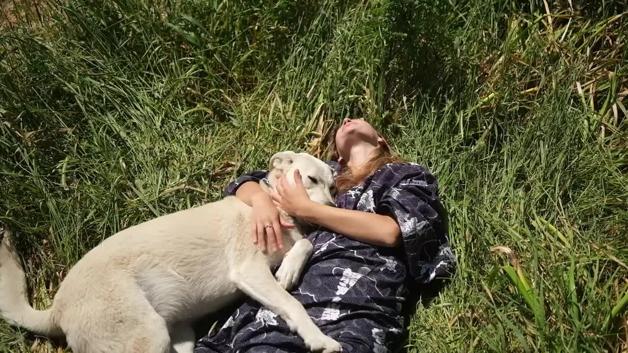 被收养的狗和年轻女子在一起玩耍。视频素材