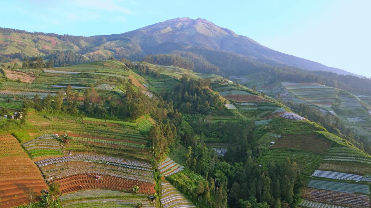 鸟瞰图，环绕在印度尼西亚乡村景观中的松冰山视频素材