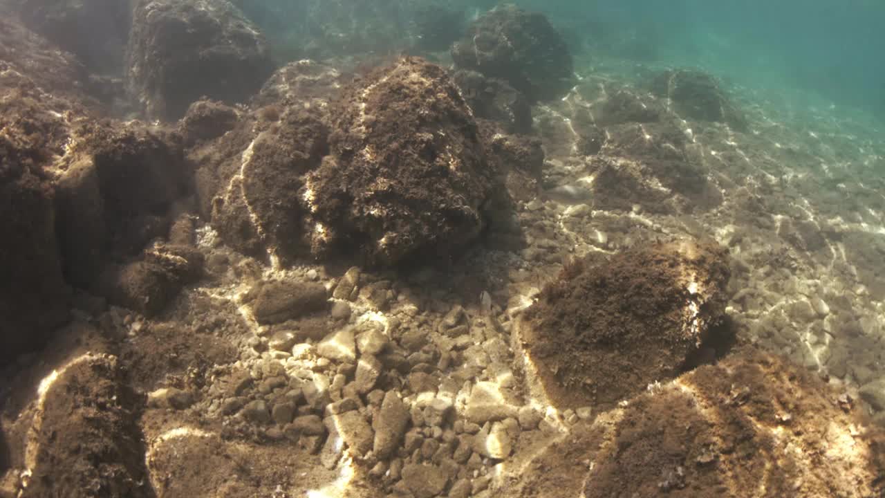 在水下潜水，探索湛蓝大海中的热带珊瑚礁视频下载