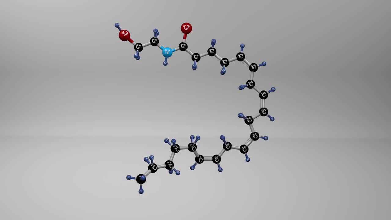 叫花生四烯酸乙醇胺分子。视频下载