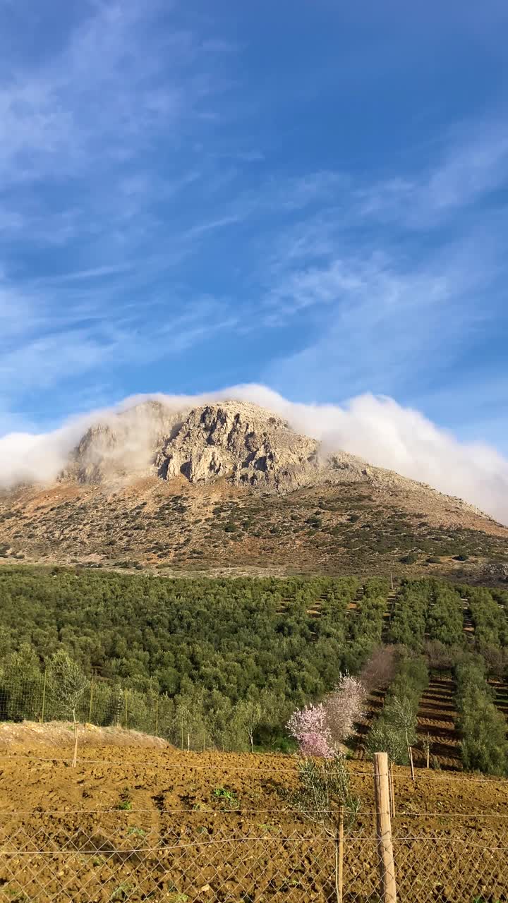 从公路到安特奎拉国家公园的全景，石灰岩岩层视频素材