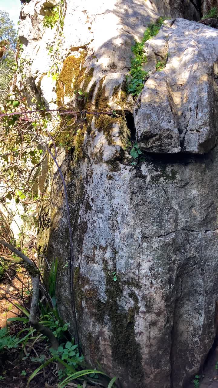 石灰岩岩层，以不同寻常的喀斯特地貌而闻名视频素材