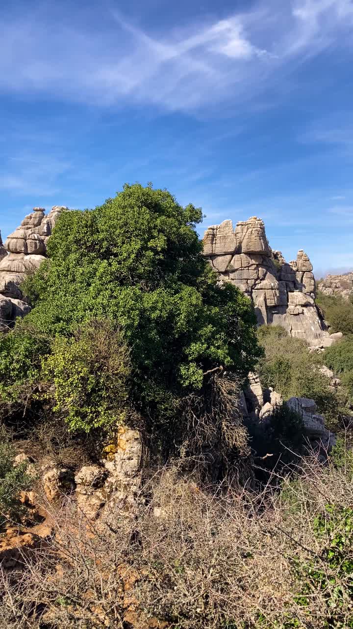 石灰岩岩层，以不同寻常的喀斯特地貌而闻名视频素材