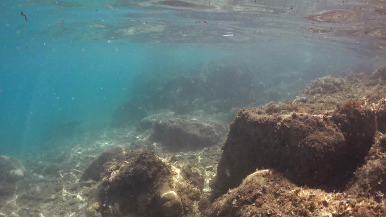 在水下潜水，探索湛蓝大海中的热带珊瑚礁视频下载