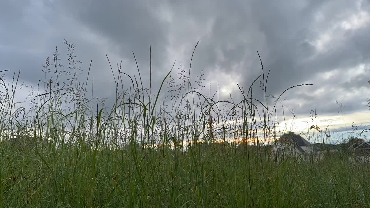 草地和时间流逝的风暴云4k视频素材