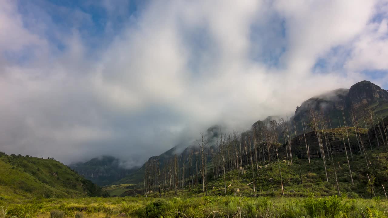 云掠过山谷，有绿色的灌木、高大的树木和山崖视频素材