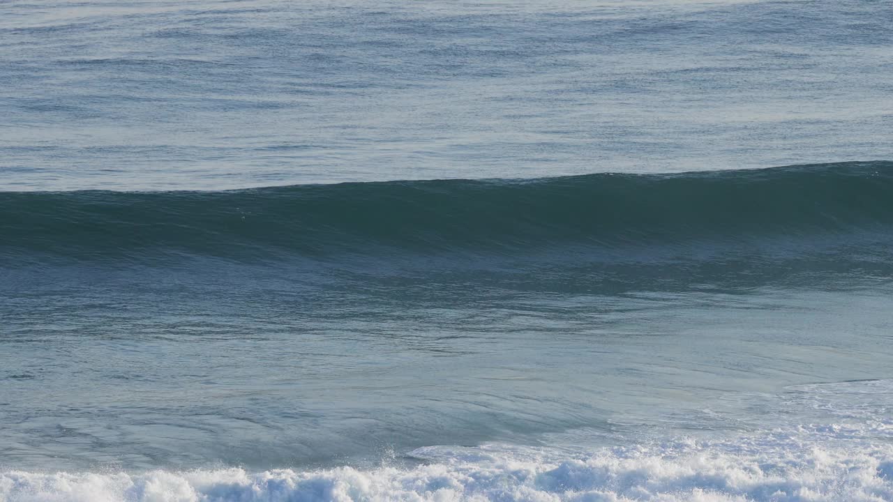 海浪冲击着莫宁顿半岛视频素材