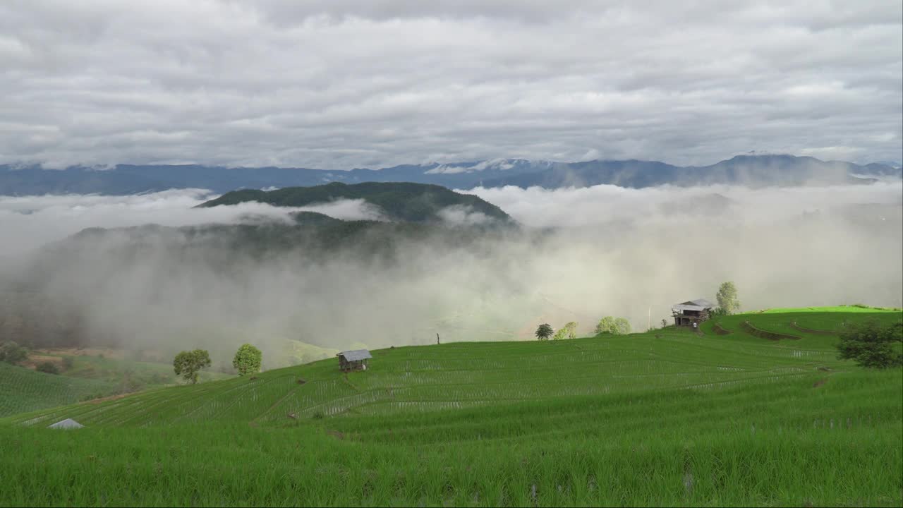 泰国清迈，稻田的乡村景色。视频素材