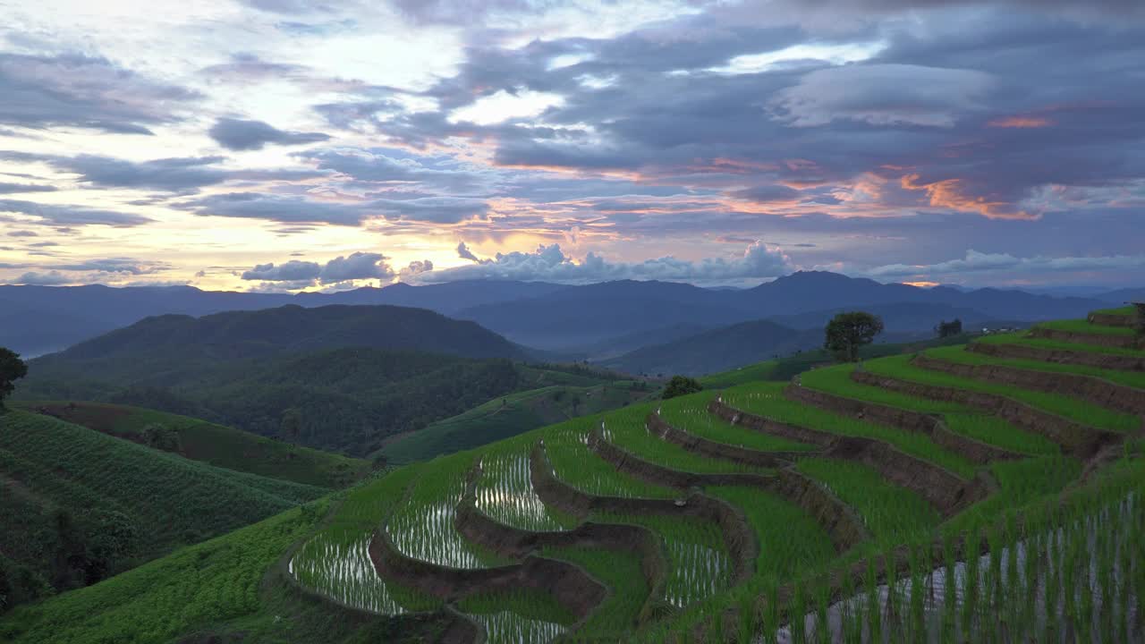 泰国清迈，稻田的乡村景色。视频素材