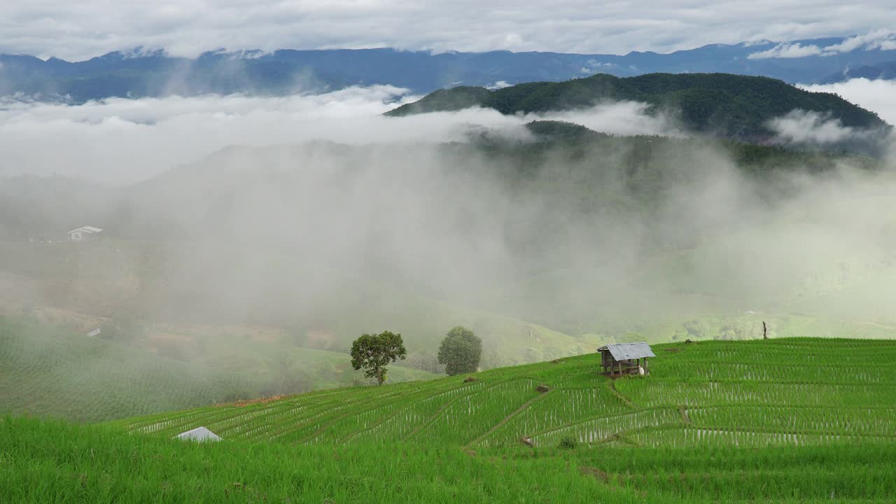 泰国清迈，稻田的乡村景色。视频素材