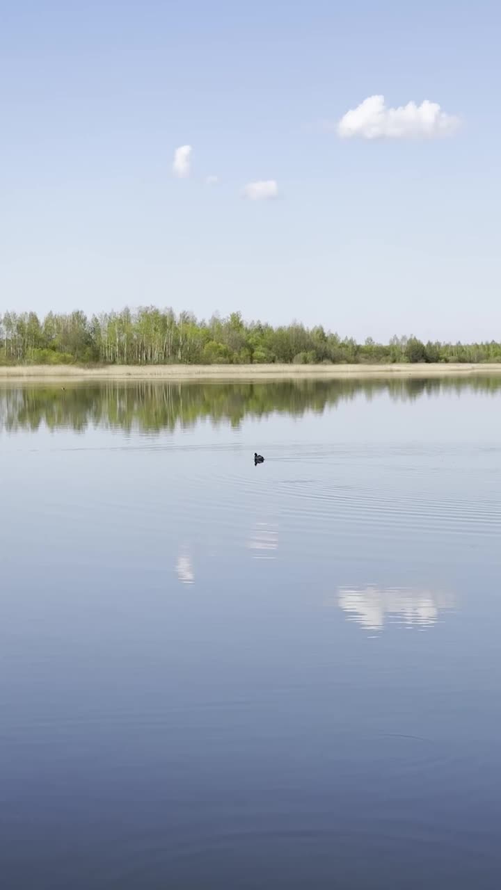 碧蓝的湖水与绿树相映成趣，夏日自然美景。平静的水面，晴朗的天空，阳光明媚视频下载