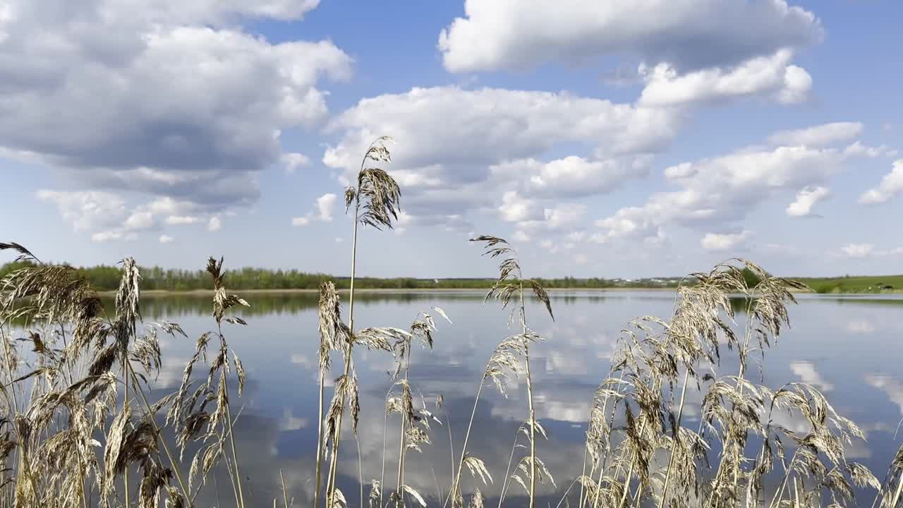 蓝天、水、湖、河、绿草的自然景观。夏日美景，户外视频下载