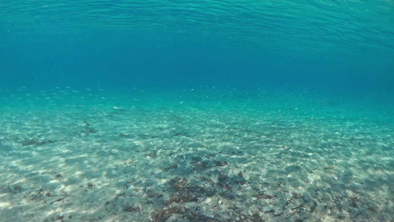 在美丽的蓝色大海和白色的沙滩上潜水视频下载