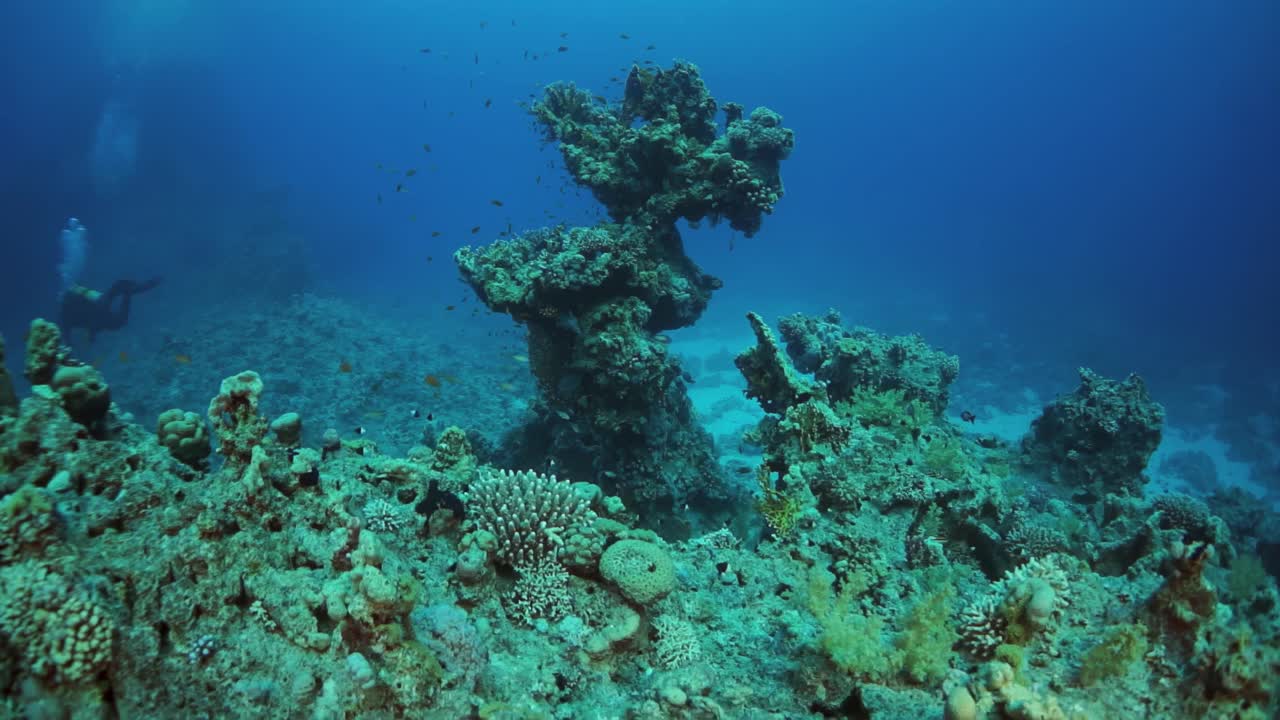 美丽的蓝色海洋，有珊瑚礁，还有一个人在里面游泳视频素材