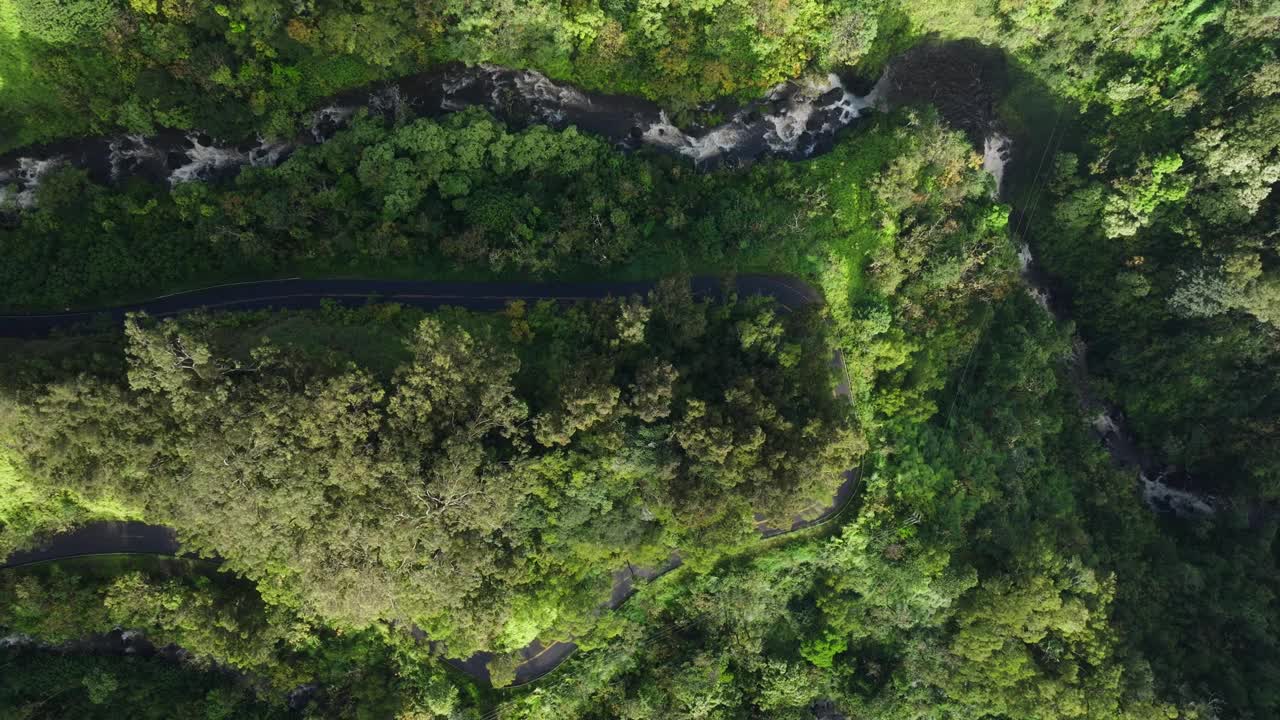 空中俯瞰穿过蜿蜒的道路，到达美丽河流旁的热带森林视频素材