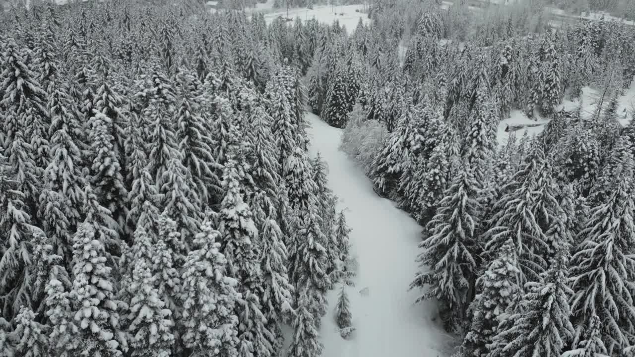 鸟瞰美国爱达荷州积雪覆盖的森林。展示冬日的风景和大自然的宁静和原始之美。视频素材