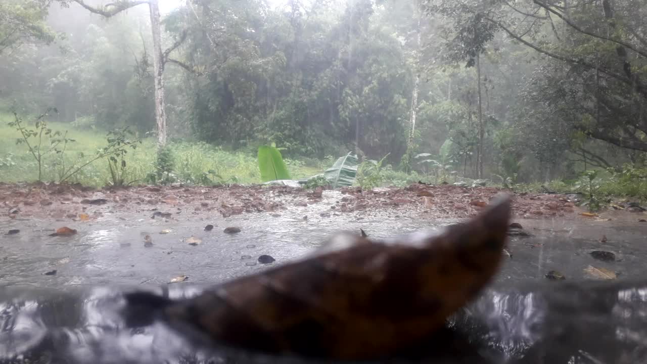 大雨很美视频下载