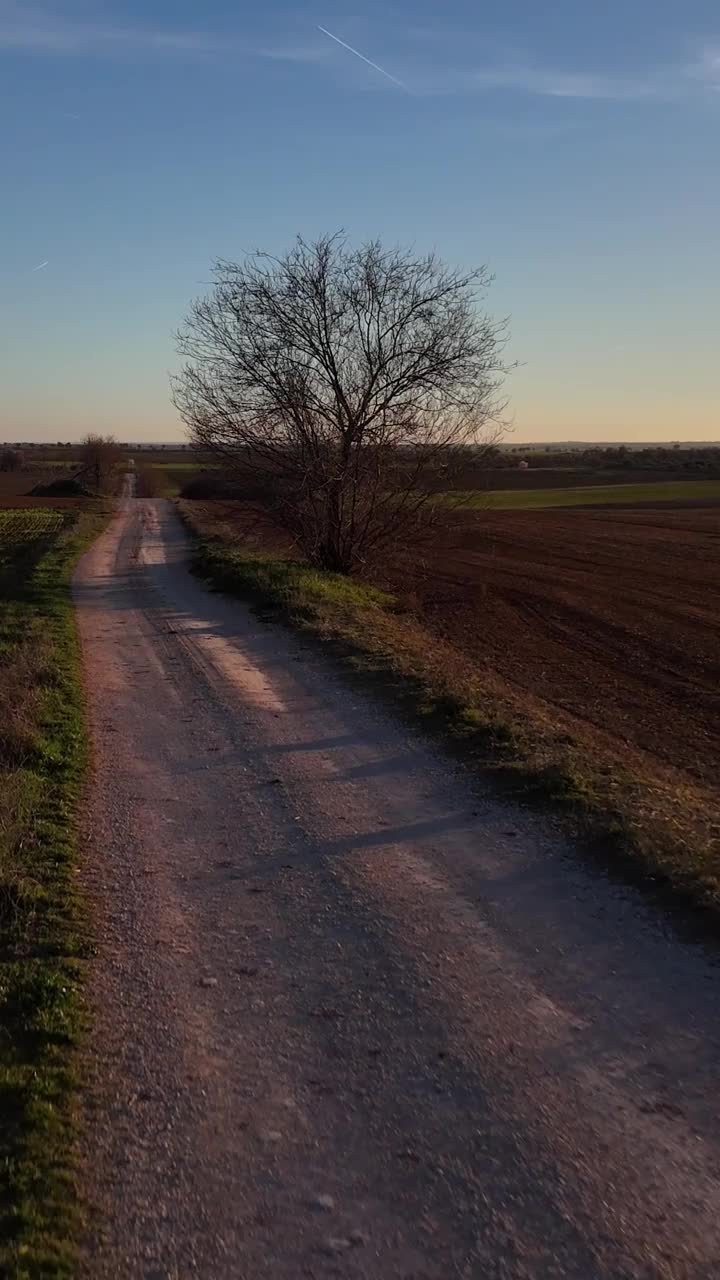 日落时分，一架无人机在一条有树木和电塔的乡村公路上向前飞行视频下载