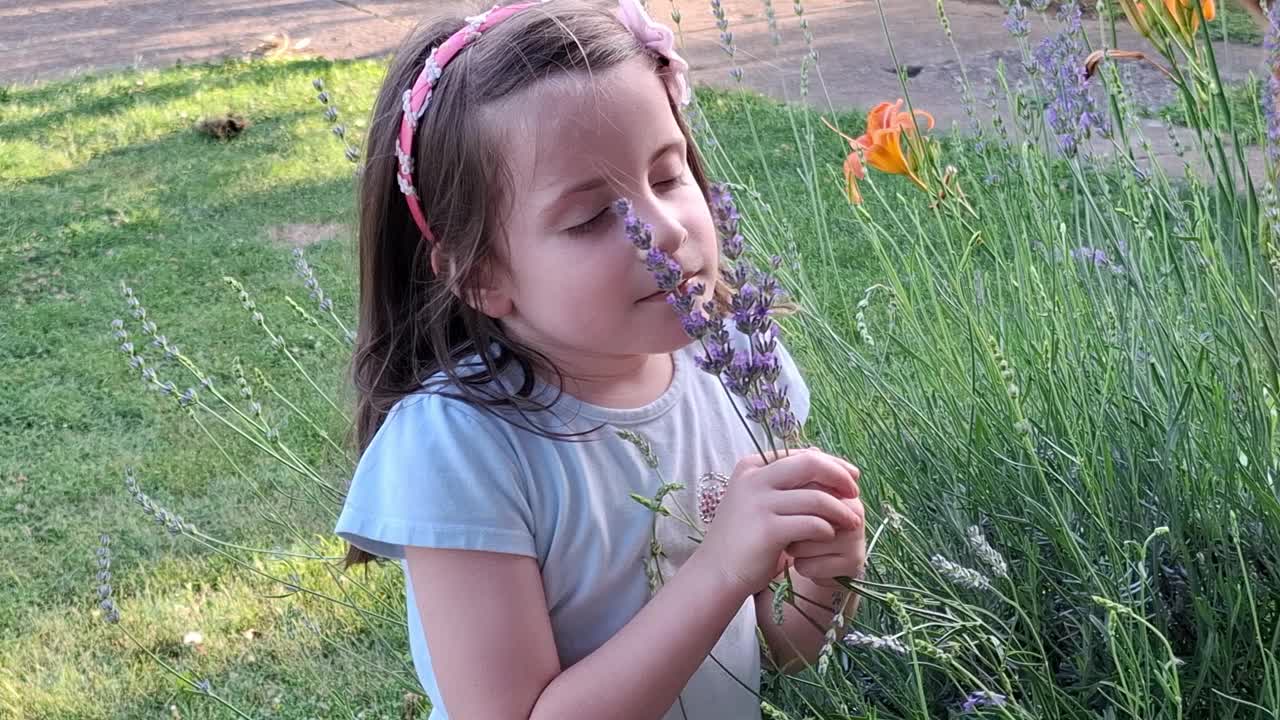 夏天，小女孩在花园里闻薰衣草花香视频下载