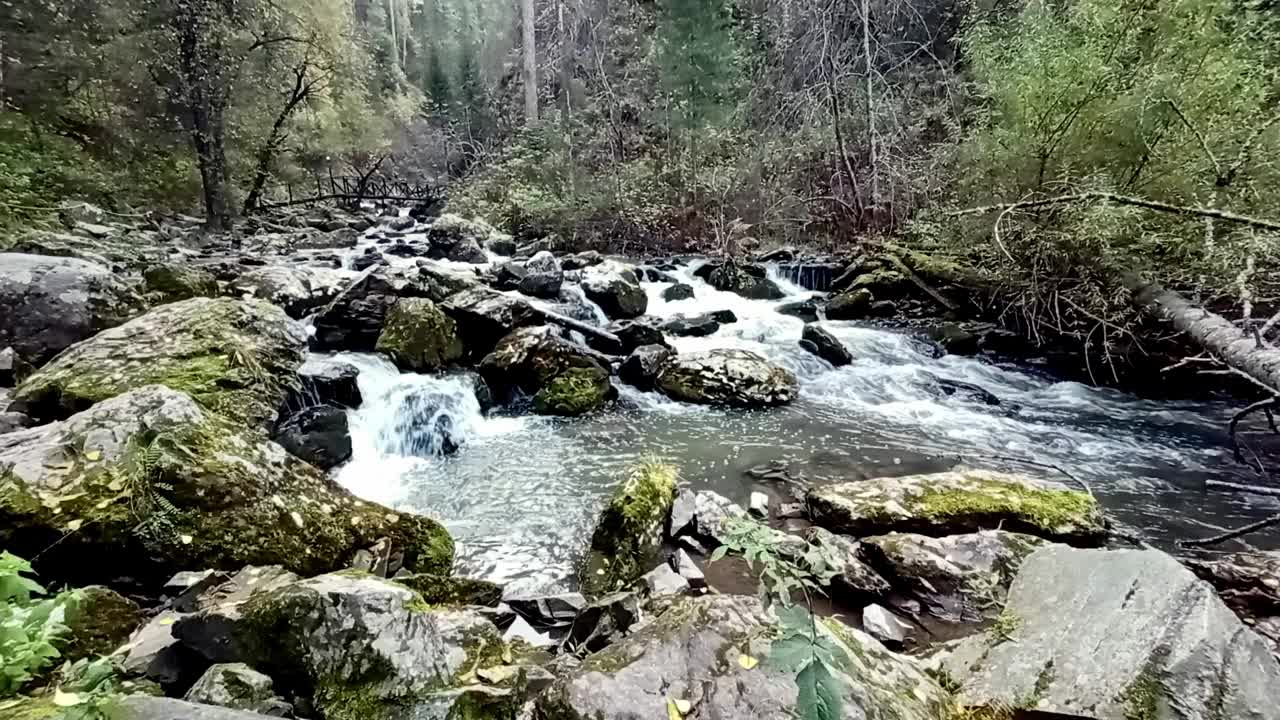 倒下的树干和长满青苔的大石头挡住了一条流经秋天早晨森林的小山河的河床。视频素材