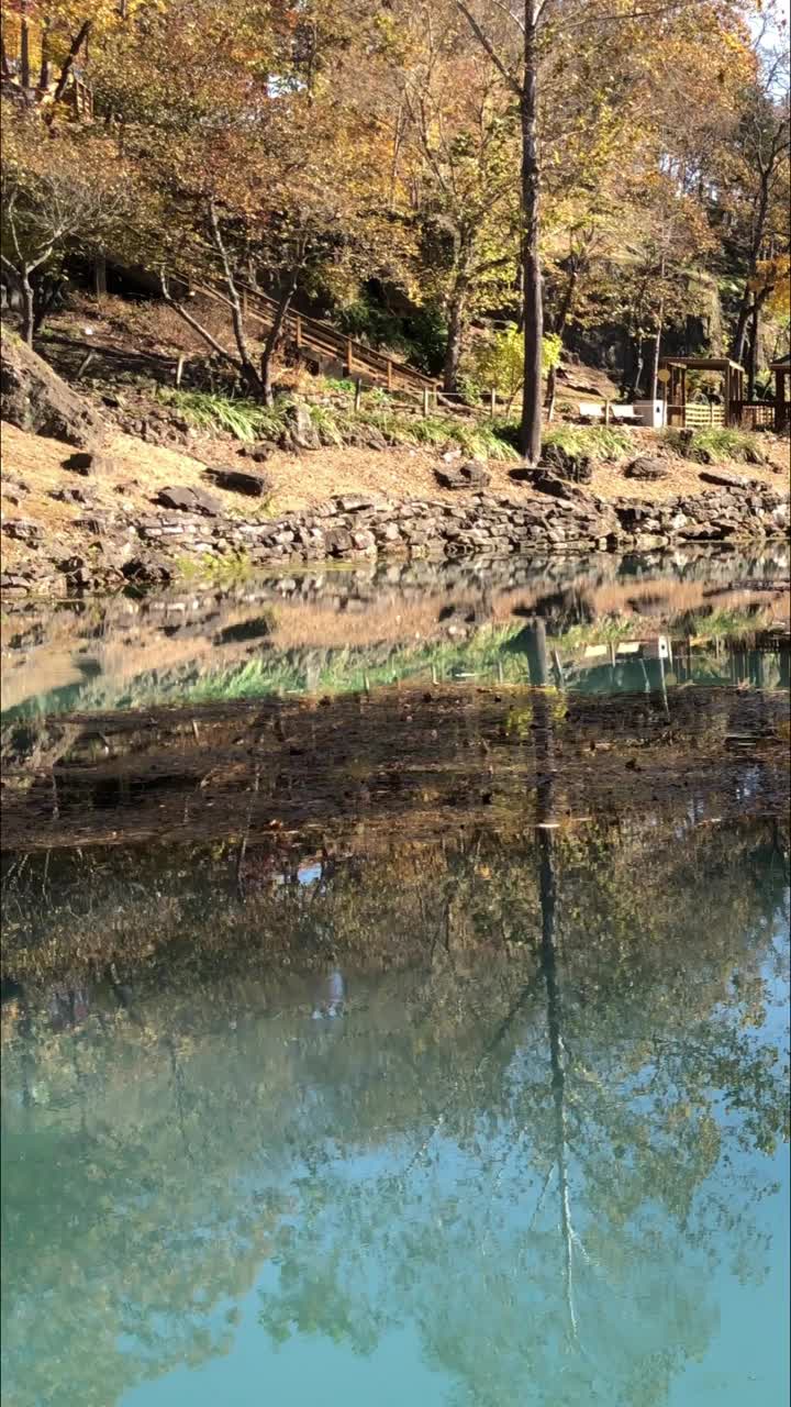 盘山风景区有天然的泉水，五彩缤纷的树木倒映在秋水里，垂直而上视频下载