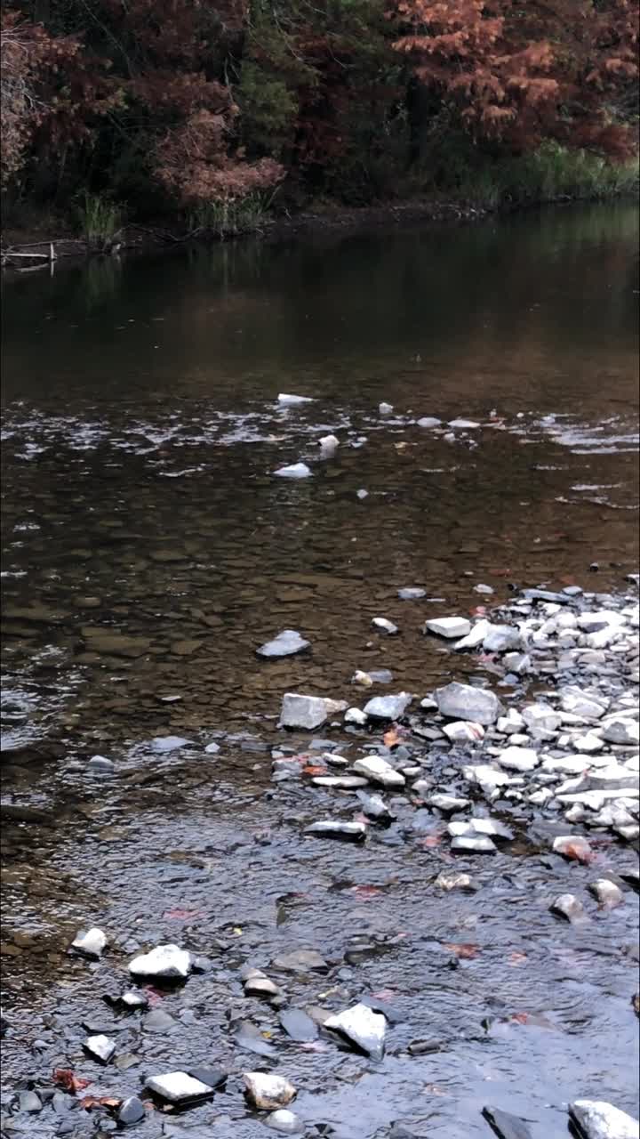 秋天，俄克拉何马州比弗本德，福克山河水缓缓流淌。视频下载