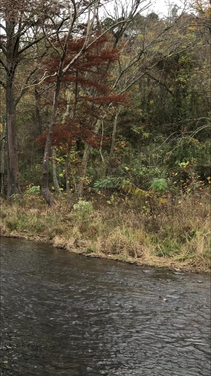 平移拍摄，福克山河一侧的秋天。海狸湾州立公园，俄克拉荷马州。视频下载