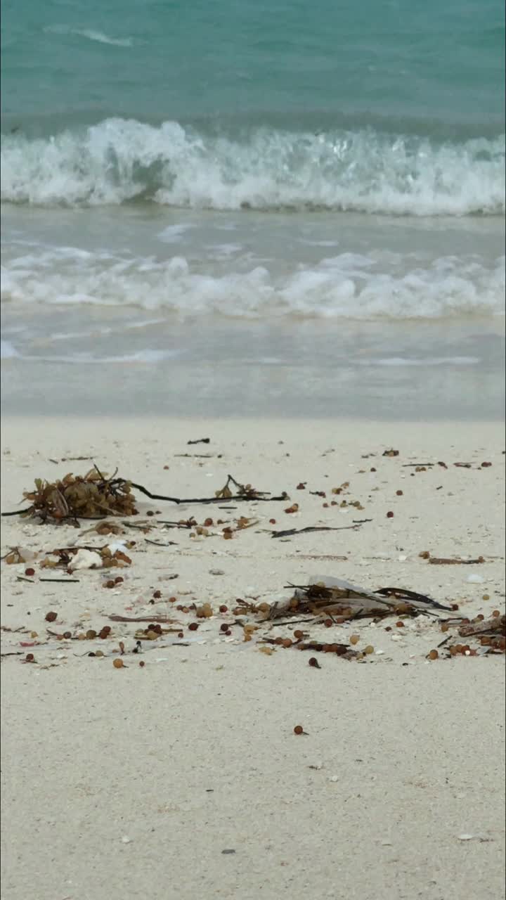 海浪拍打白色沙滩的镜头，垂直视角视频素材