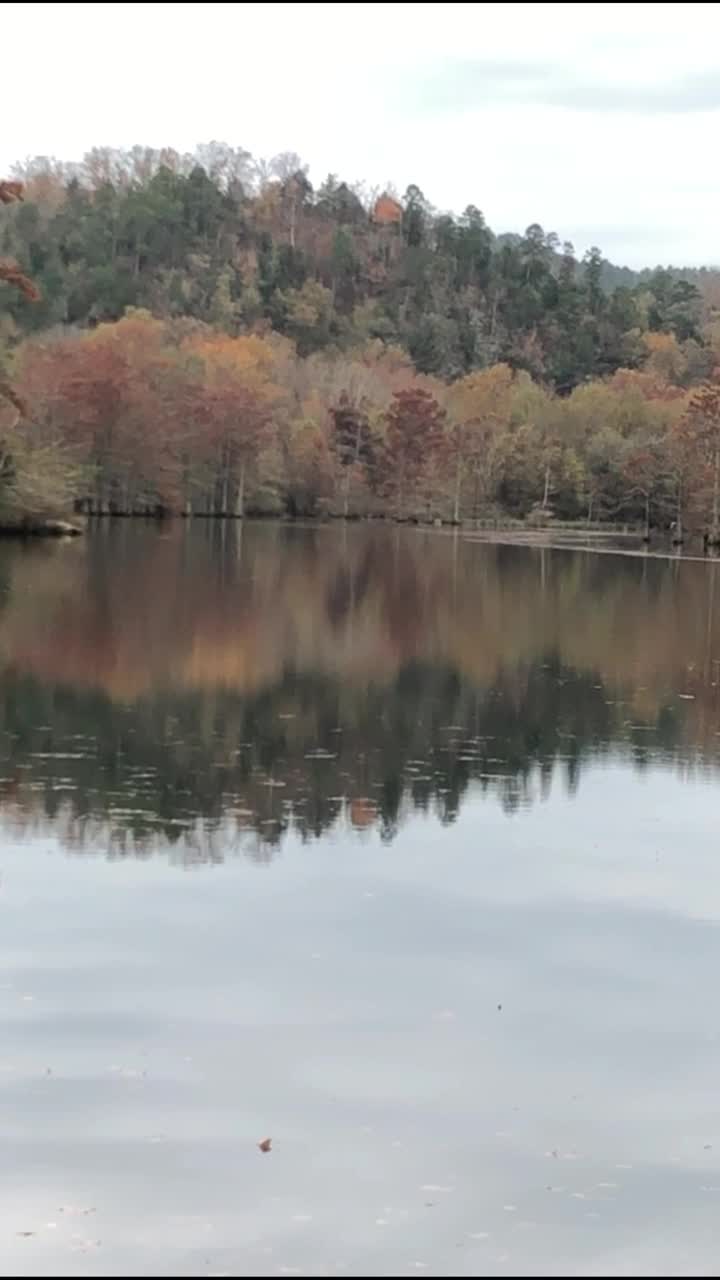 放大镜头的山叉河与秋天的五颜六色的树木反映在水中。海狸湾州立公园，俄克拉荷马州。视频下载