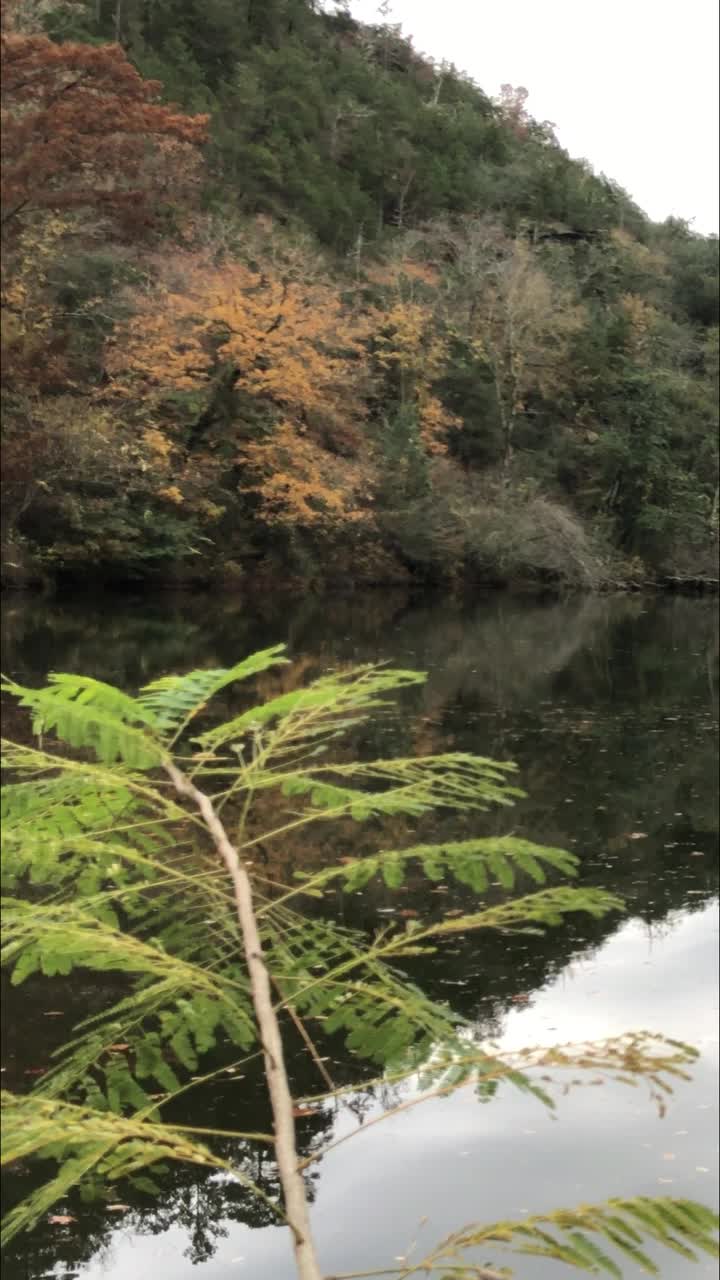 福克山河的镜头与秋天的彩色树木反映在水中。海狸湾州立公园，俄克拉荷马州。视频下载