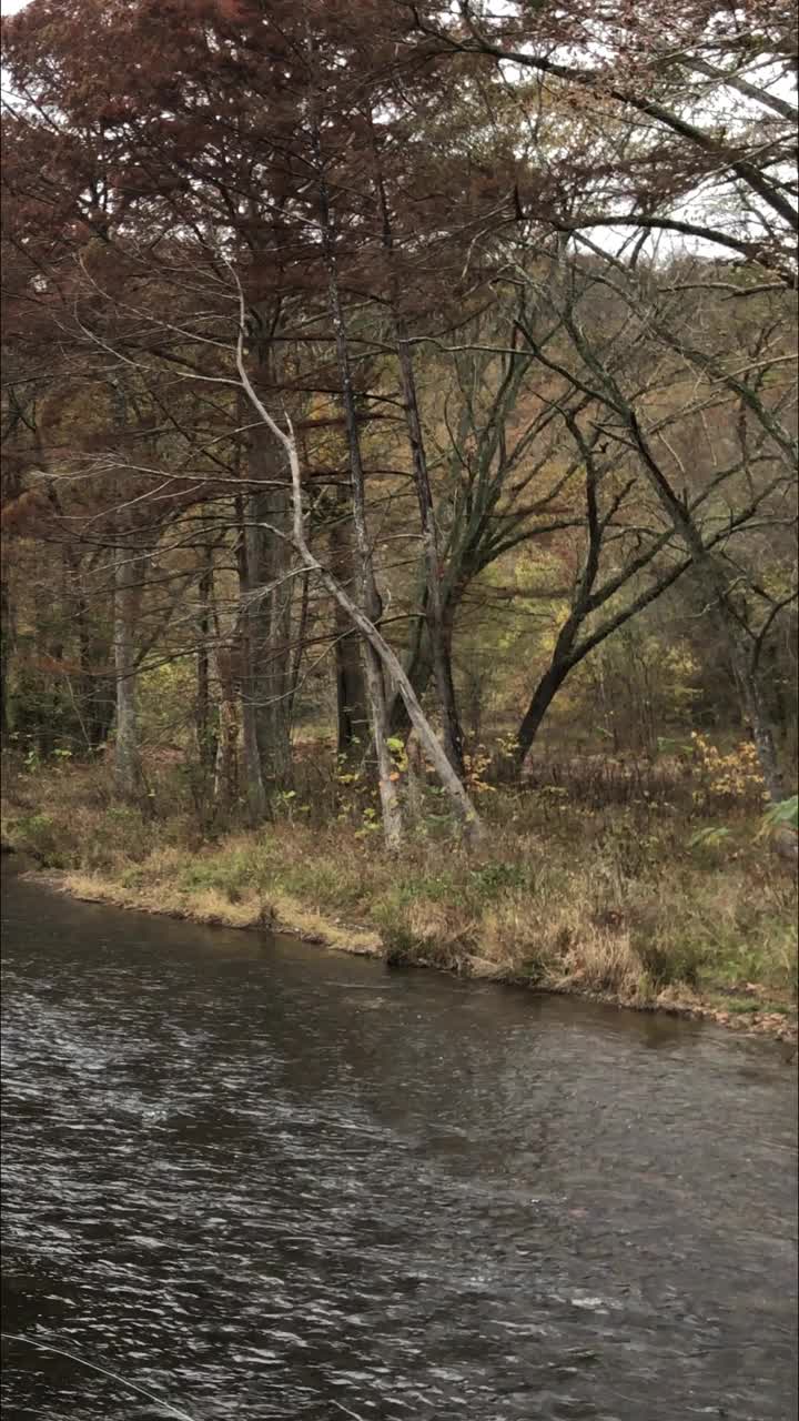 福克山河的平移镜头，河岸上五颜六色的秋天树木。海狸湾州立公园，俄克拉荷马州。视频下载