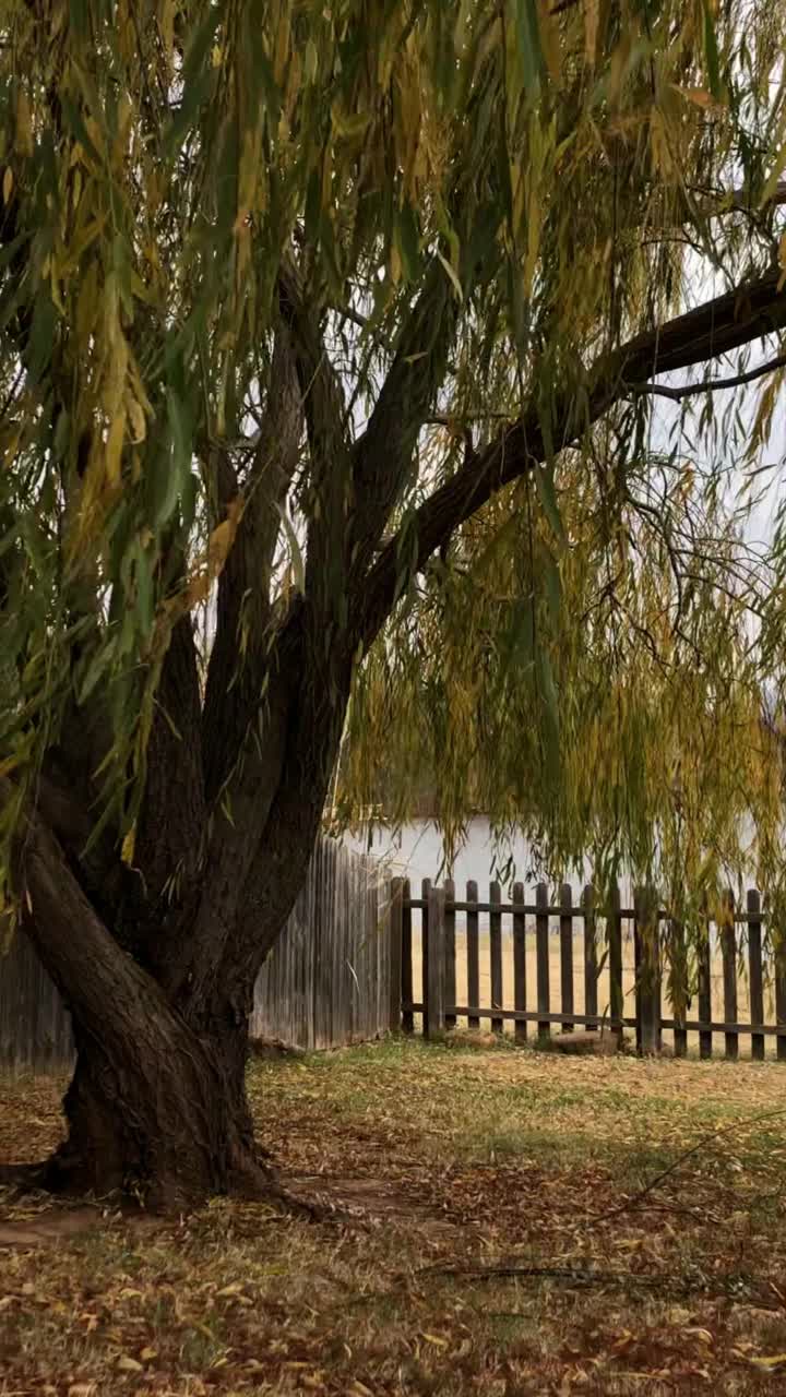 在一个阴沉的日子里，海浪翻滚到岸边的平移镜头，垂直镜头视频下载