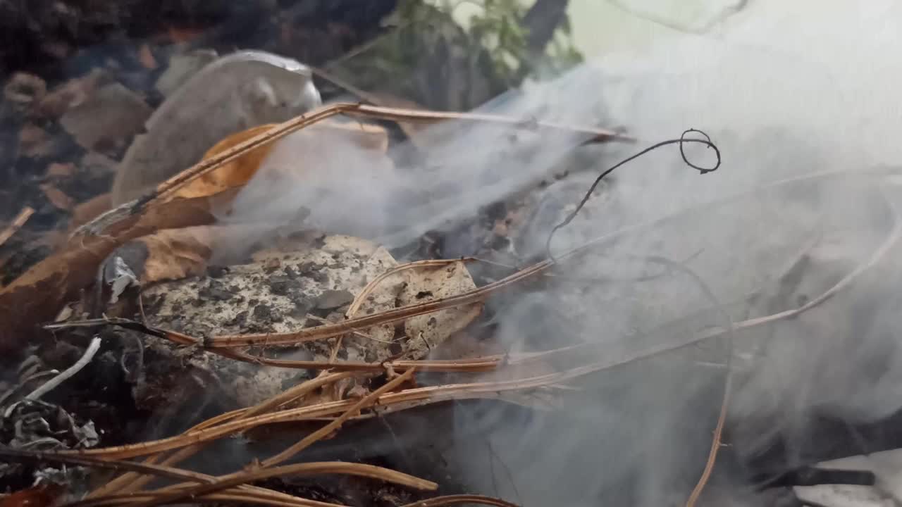 焚烧树木废料视频素材