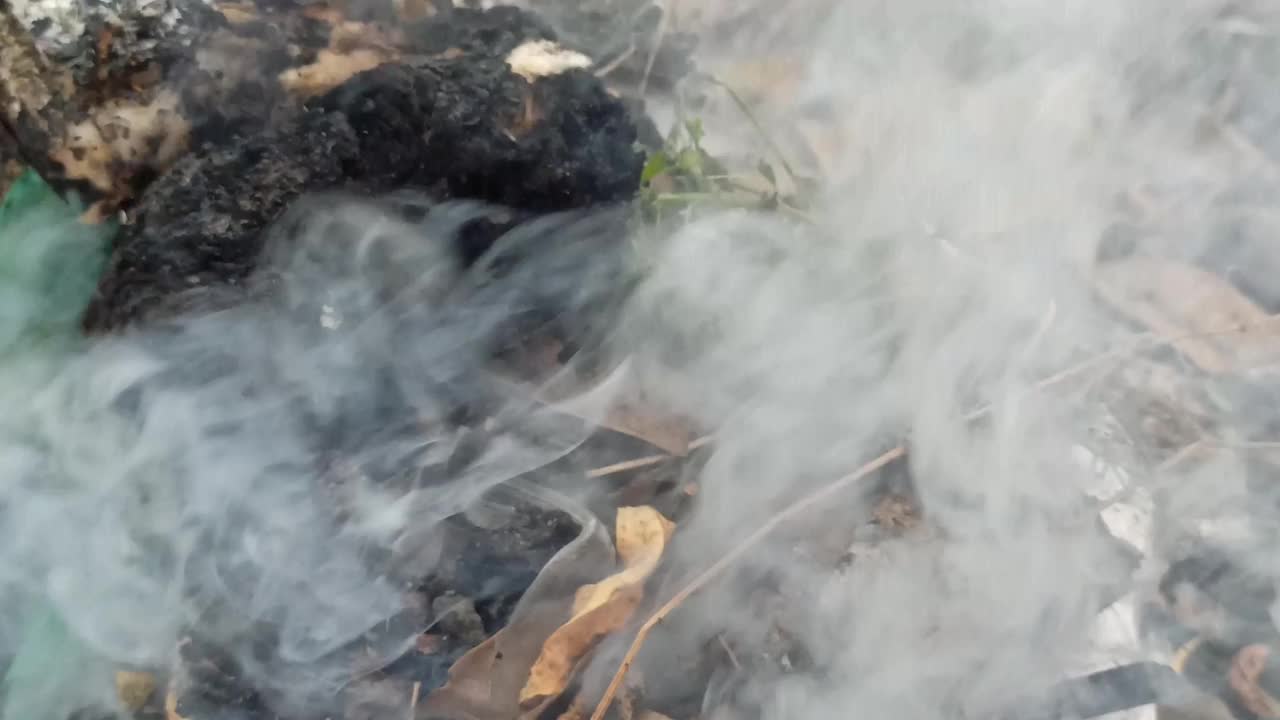 焚烧树木废料视频素材