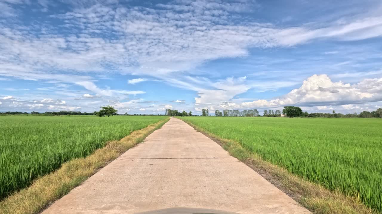 一个美丽的绿色稻田的全景沿着混凝土和土路。视频素材