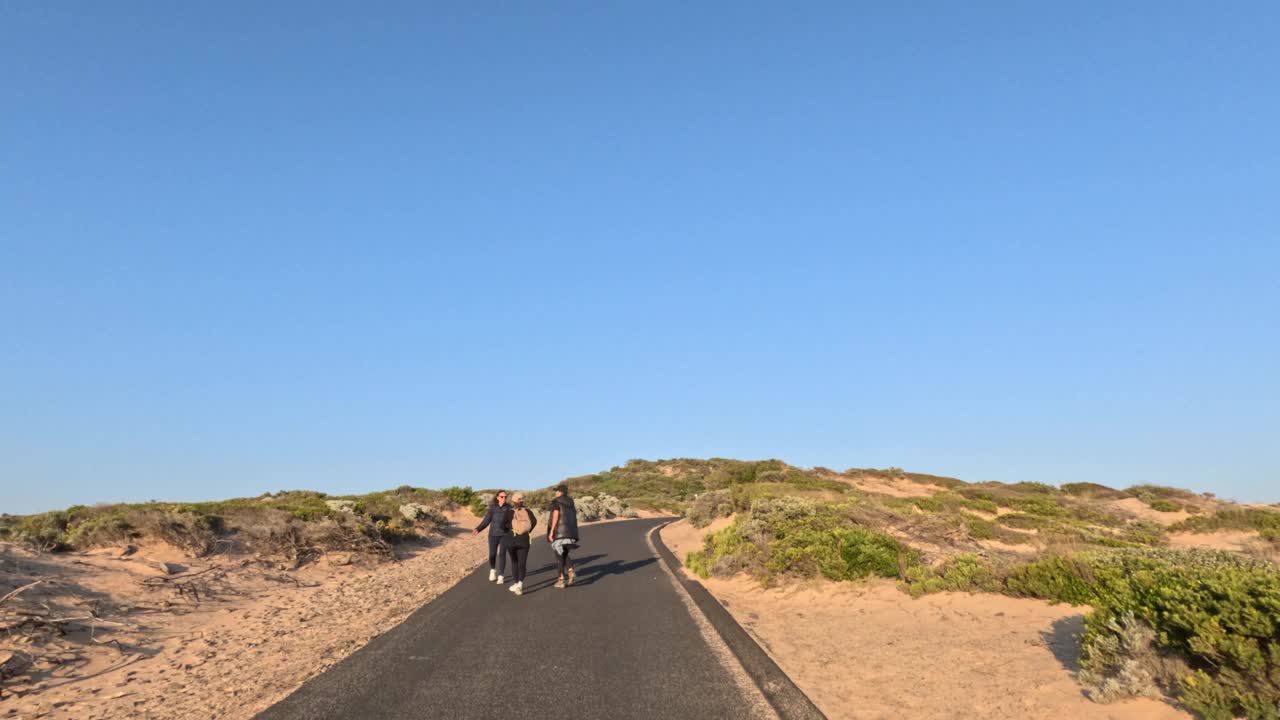 莫宁顿半岛海滨步道视频素材