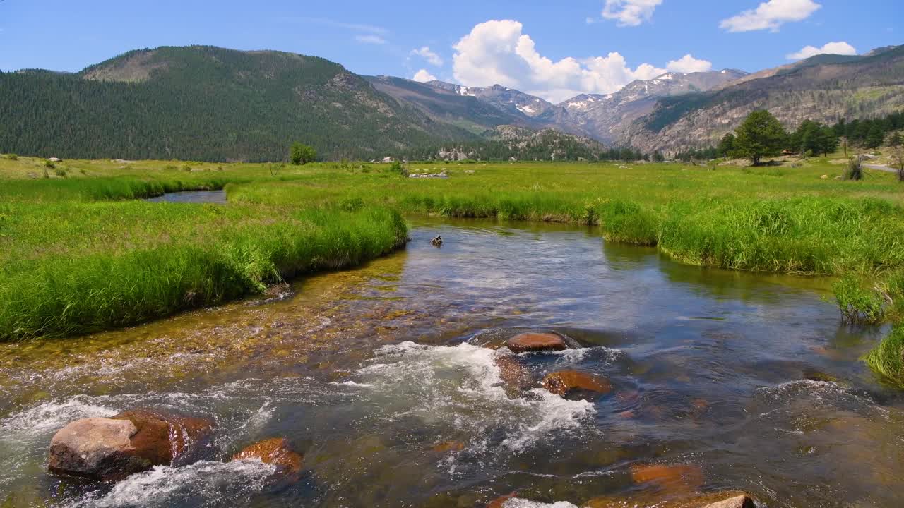 冰碛公园的夏日景色-在一个阳光明媚的夏日，大汤普森河流经冰碛公园山谷的绿色草地的全景。落基山国家公园，美国科罗拉多州。视频下载