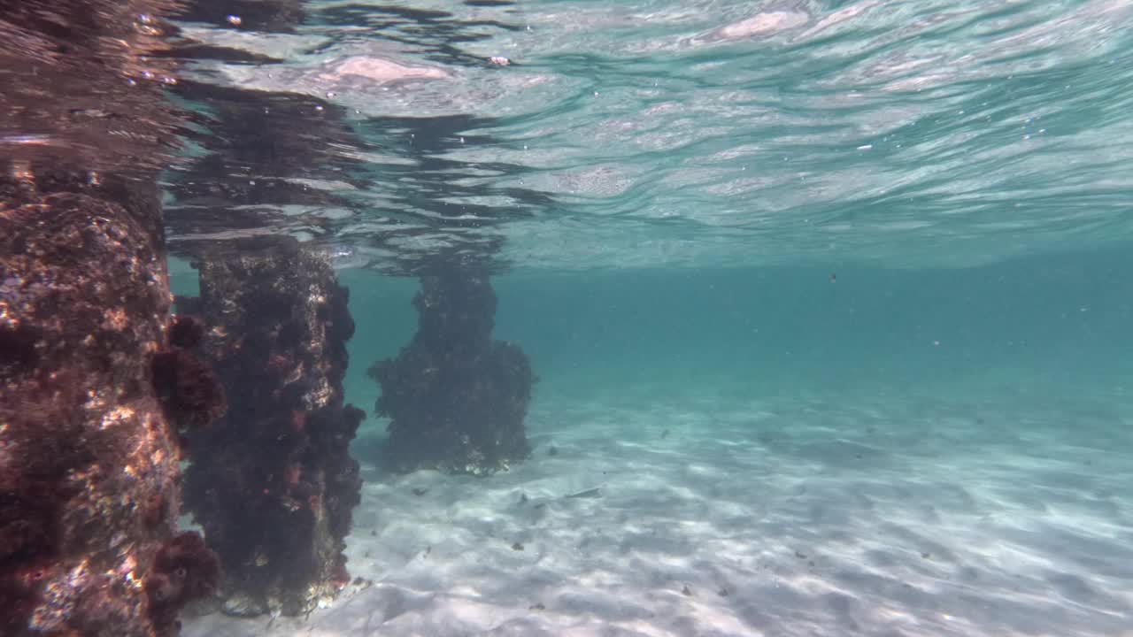 水下和码头上方景观视频素材