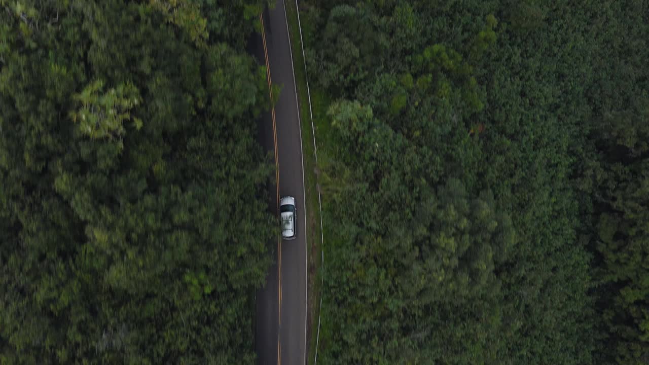 鸟瞰图，汽车行驶在高速公路上，穿过夏威夷毛伊岛郁郁葱葱的热带森林视频下载