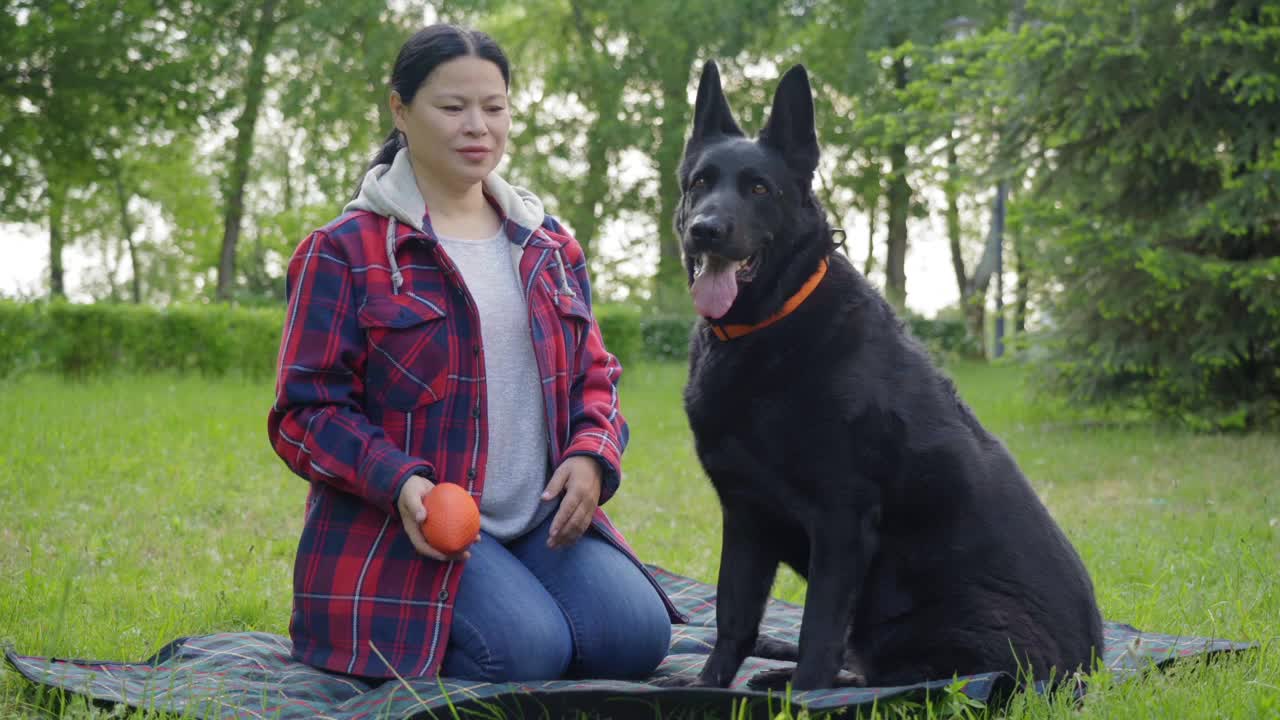 快乐漂亮的中年亚洲妇女训练黑狗在户外捡东西视频素材