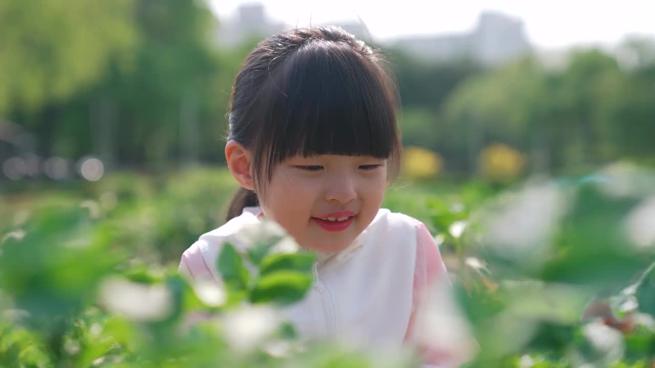 野餐-女孩很高兴看到周末农场的庄稼/韩国视频下载