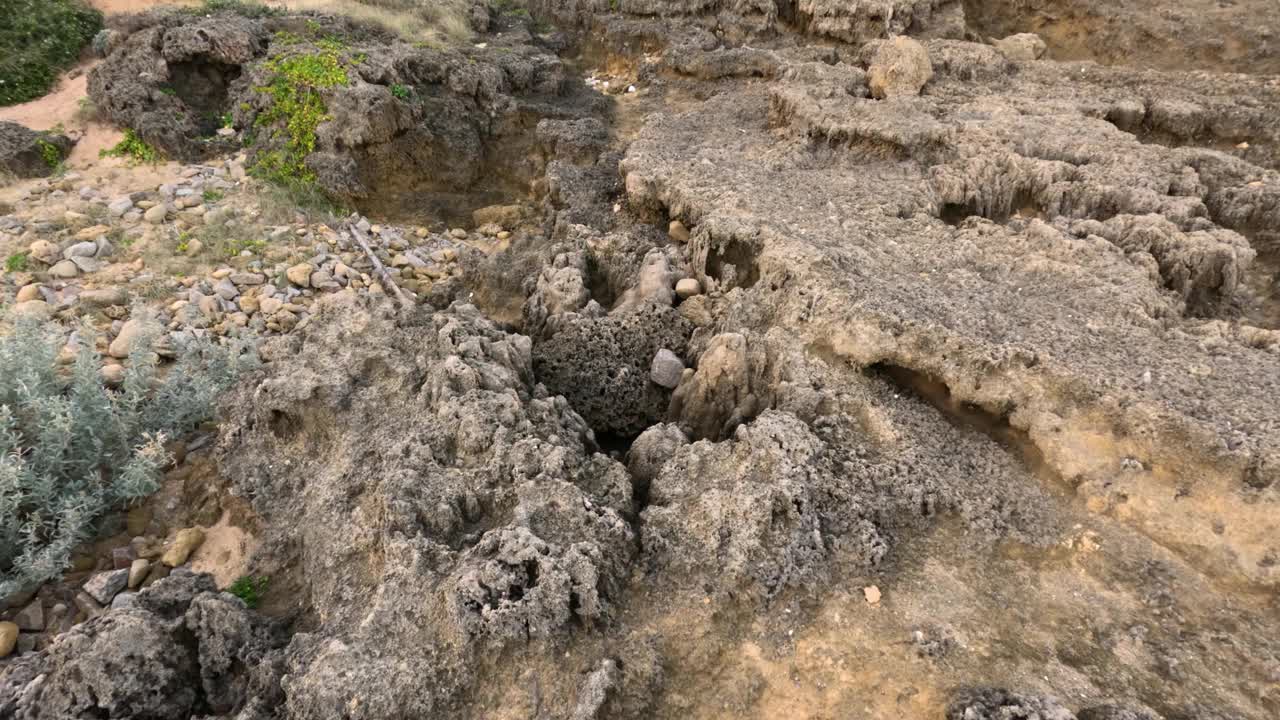 莫宁顿半岛的岩石池视频素材