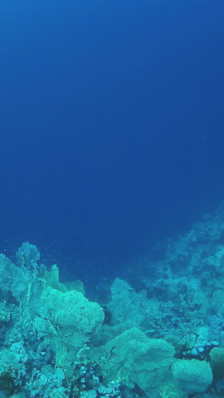 一个有着岩石底部的美丽的蓝色海洋视频下载