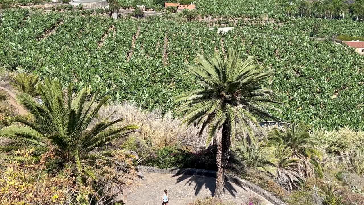 加那利群岛特内里费岛北部种植园全景视频素材